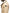 Camden Men's Trench Coat - NEXT by Nobis